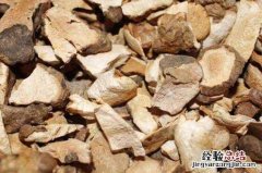 土茯苓与茯苓的区别功效与作用 土茯苓与茯苓的区别