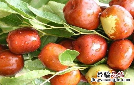 煮苹果和红枣吃多了会怎么样 红枣吃多了会怎么样