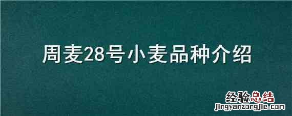 周麦28号小麦品种介绍 周麦27品种介绍