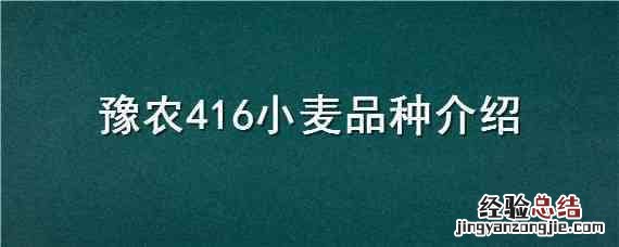 豫农416小麦品种介绍 豫农416小麦品种介绍视频