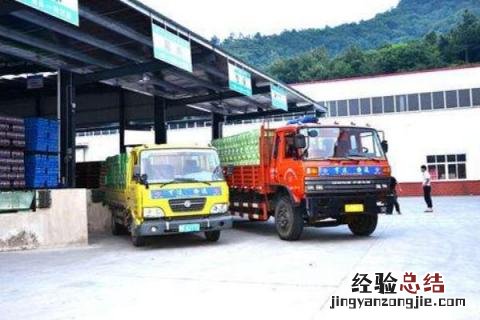 特色农业有哪些项目，哪些项目收益高
