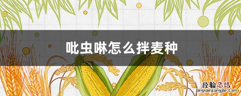 吡虫啉拌麦种一亩用量 吡虫啉怎么拌麦种