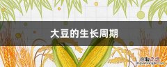 大豆的生长周期是多长时间 大豆的生长周期