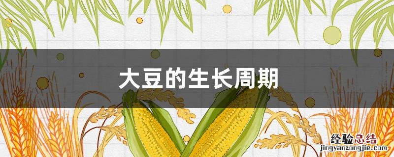 大豆的生长周期是多长时间 大豆的生长周期
