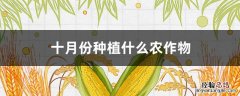 十月份种植什么农作物 十月份种植什么农作物好