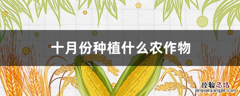 十月份种植什么农作物 十月份种植什么农作物好