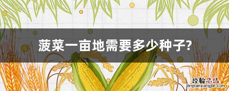 菠菜种一亩地需要多少种子 菠菜一亩地需要多少种子?