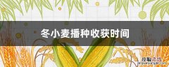 冬小麦播种收获时间 冬小麦播种收获时间和温度