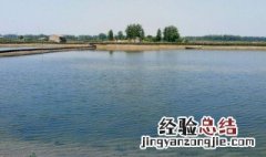 小龙虾养殖池怎么建 小龙虾养殖池塘怎么建