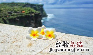 展望未来的励志句子唯美简短 展望未来的励志句子精选