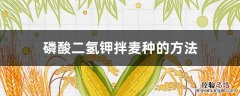 磷酸二氢钾拌麦种的方法 小麦磷酸二氢钾