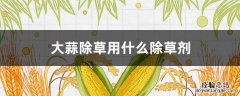 大蒜能用什么除草剂 大蒜除草用什么除草剂