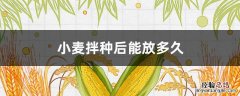 小麦拌种提前几天拌种最好 小麦拌种后能放多久
