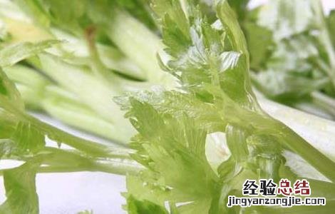 常吃芹菜杀精吗 芹菜杀精吗