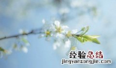 形容人敏感脆弱的句子 形容人敏感脆弱的句子精选