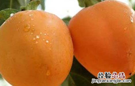 吃什么水果去火效果最好 嗓子疼吃什么水果去火效果最好