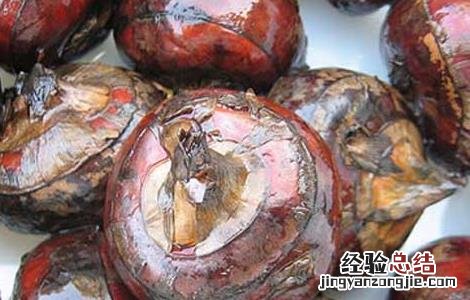 吃什么水果去火效果最好 嗓子疼吃什么水果去火效果最好