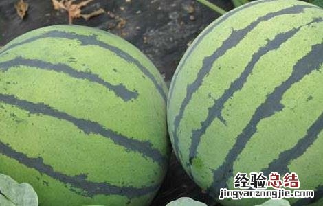 吃什么水果去火效果最好 嗓子疼吃什么水果去火效果最好