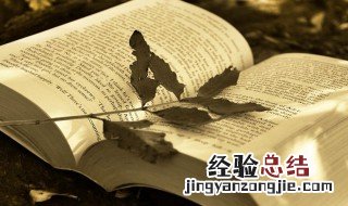 没规矩的意思 不规矩是什么意思