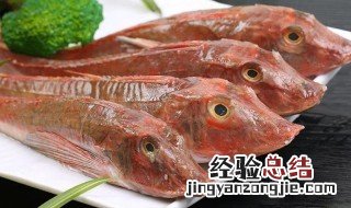 红娘子鱼怎么做好吃 十大垃圾鱼