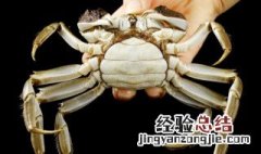 买回家的螃蟹怎么存放 买回家的螃蟹存放的方法