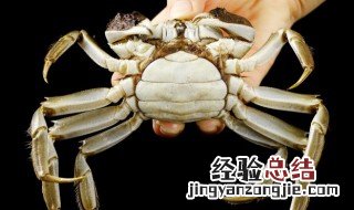 买回家的螃蟹怎么存放 买回家的螃蟹存放的方法