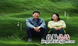 春来秋来的电视剧 春来秋来什么电视剧