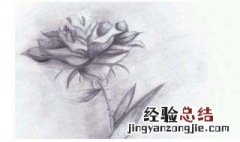 铅画教程 水溶性彩铅画教程