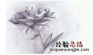 铅画教程 水溶性彩铅画教程