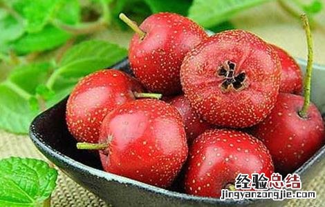 冬季养生减肥食物大全 冬季养生减肥食物大全图