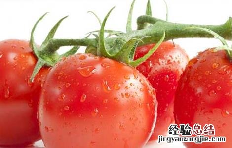 冬季养生减肥食物大全 冬季养生减肥食物大全图