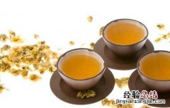 冬天喝什么茶养胃护肝最好 冬天喝什么茶好