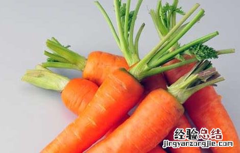 冬季养胃的食物有哪些 冬季养胃的食物有哪些好