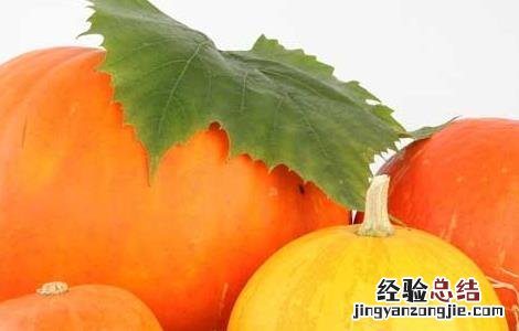 冬季养胃的食物有哪些 冬季养胃的食物有哪些好