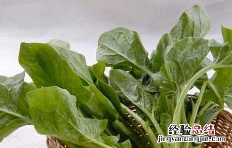 冬季养胃的食物有哪些 冬季养胃的食物有哪些好
