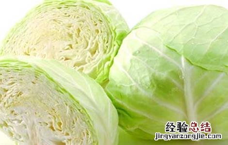 冬季养胃的食物有哪些 冬季养胃的食物有哪些好