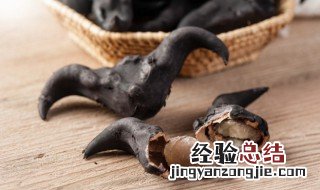 菱角怎么吃好吃是藕尖么 菱角怎么吃好吃