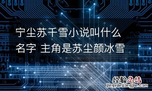 宁尘苏千雪小说叫什么名字 主角是苏尘颜冰雪的小说