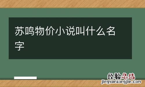 苏鸣物价小说叫什么名字