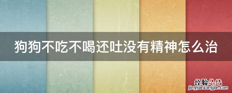 狗狗不吃不喝还吐没有精神怎么治 狗狗不吃不喝还吐没有精神怎么治疗好