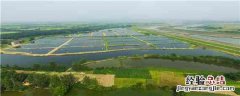 海水养虾需要什么条件和技术 养虾需要什么条件和技术