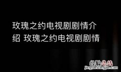 玫瑰之约电视剧剧情介绍 玫瑰之约电视剧剧情介绍全集