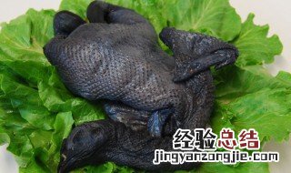 乌鸡有什么营养价值 乌鸡怎么炖汤补气补血