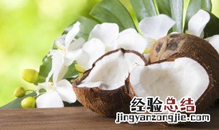 椰子煲鸡汤怎么煲 椰子煲鸡汤的烹饪方法