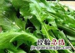 鲜蒲公英怎么吃最好 鲜蒲公英怎么吃