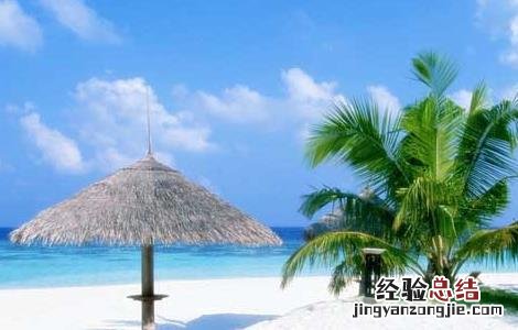 夏季养生小常识每日一条 夏季养生小常识