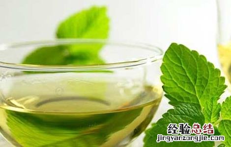 夏季养生小常识每日一条 夏季养生小常识