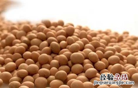 什么是五行养生功法 什么是五行养生