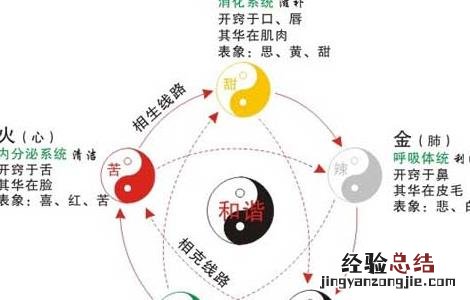 什么是五行养生功法 什么是五行养生