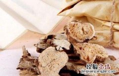 白术的功效与作用和主治与用量 白术的功效与作用